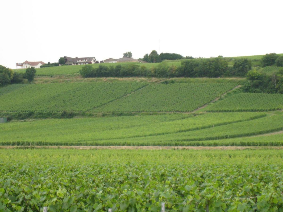 La Chambre D'Amis La Costignieres Montgueux ภายนอก รูปภาพ